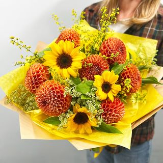 თაიგულების ქვეყანა 3068