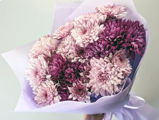 ნაზი ქრიზანთემები 1033