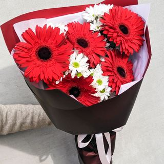 5 წითელი გერბერა 1280