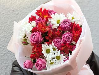 შერეული თაიგული 1137