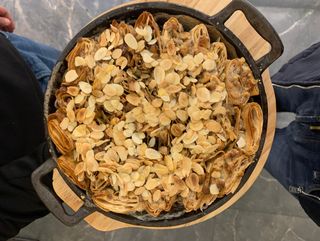 ტკბილი სინორი