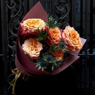 ეკლიანი ატამი