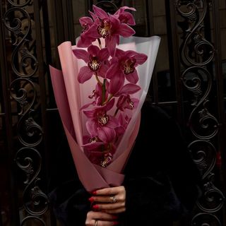 ორქიდეა