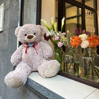 ყავისფერი დათვი