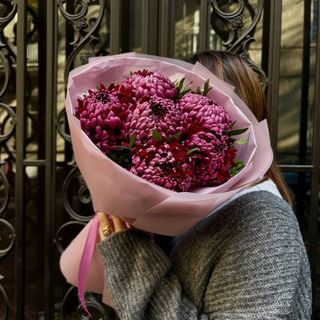 ქრიზანთემები