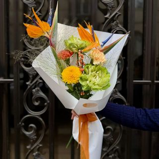 სამოთხის ჩიტი