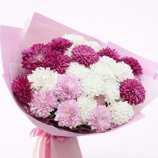 ქრიზანთემების მიქსი