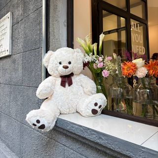 თეთრი დათვი