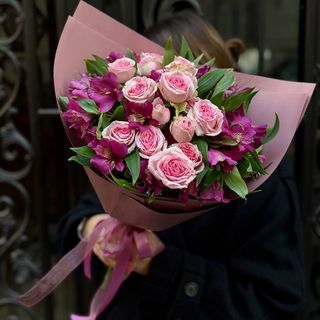 ალსტრომერეა მუქი