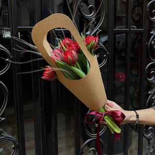 წითელი ტიტები 