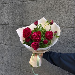 წითელი პიონები