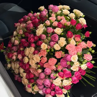 50 Spray Roses (L)