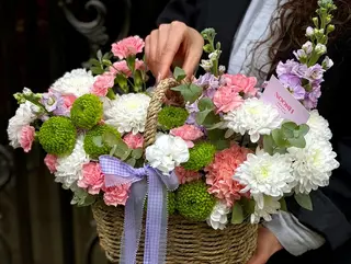 Spring Whisper