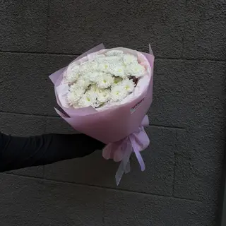 White Cotton