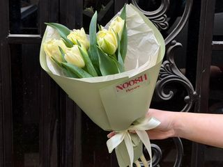 ლიმნისფერი ტიტები