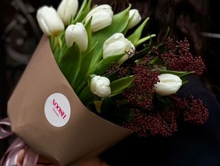 ნაზი დასაწყისი