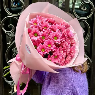 Pink Daisies (M)