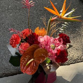 ყუთის კომპოზიცია