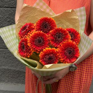 Fire Gerberas