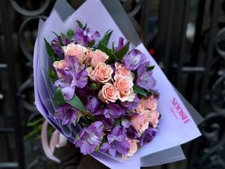 ალსტრომერეა იასამნისფერი