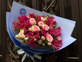 მალინისფერი ალსტრომერეა (M)