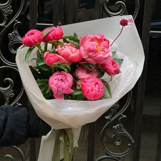 ელეგანტური პიონები