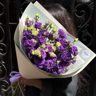 ეუსტომა იასამნისფერი
