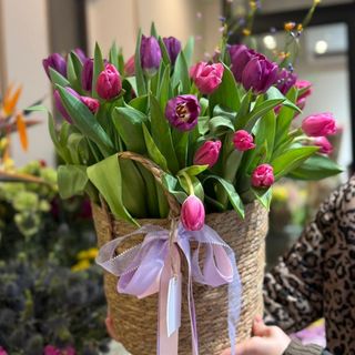 Tulip busket