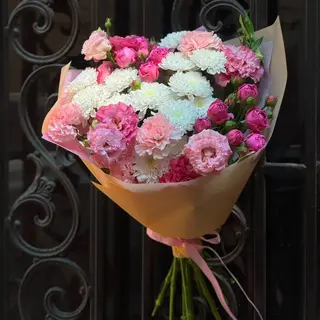Blush Pink Dream (M)