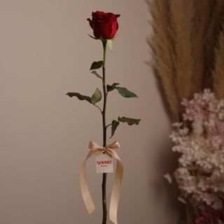 Single Rose