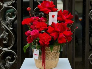 საიდუმლო სიყვარული