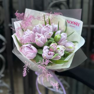 ფერია ტიტები