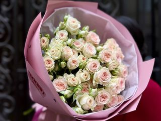 Creamy Roses
