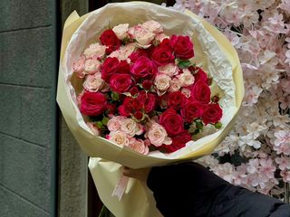 ვარდების მიქსი