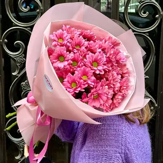 Pink Daisies (L)