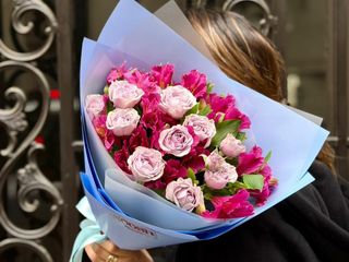 მალინისფერი ალსტრომერეა (M)