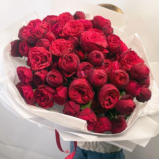 წითელი პიანოს დიდი თაიგული 3142