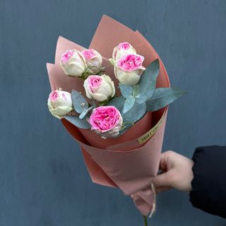 ჯუჯა ვარდი “ჯელატო”