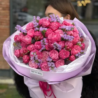მალინისფერი ჯუჯა ვარდი და სტატიცა