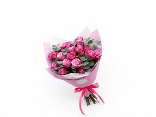 ჯუჯა ვარდი ლეიდი ბომბასტიკ