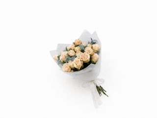 ჯუჯა ვარდი ანტონინა