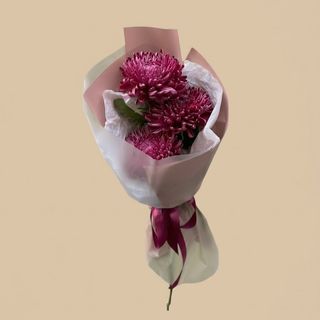 3 burgundy chrysanthemums