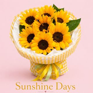 Sunshine Days