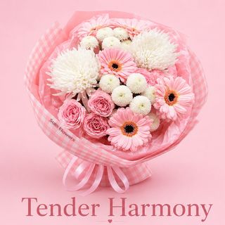 Tender Harmony
