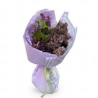 პირველი იასამანი