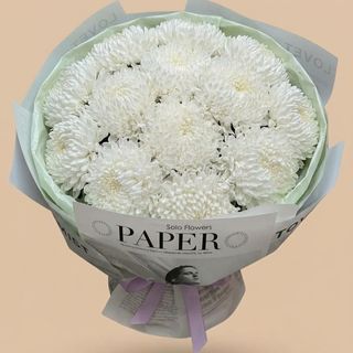 13 თეთრი ქრიზანტემა