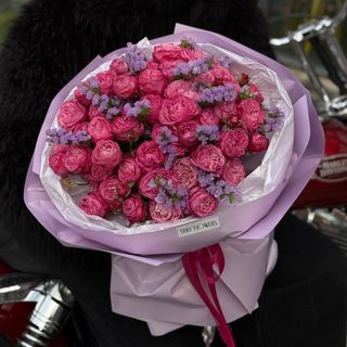 მალინისფერი ჯუჯა ვარდი და სტატიცა