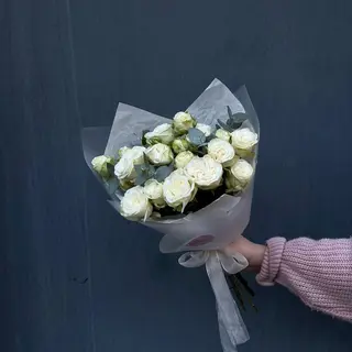 4 ტოტი მის ბომბასტიტი