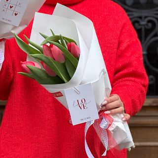 5 წითელი ტიტა