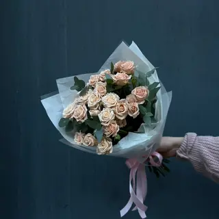 4 ტოტი ანტონინა